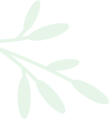 Minimalist botanical leaf illustration.